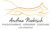 Andrea Niebisch Logo
